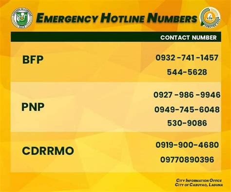 air21 laguna station contact number